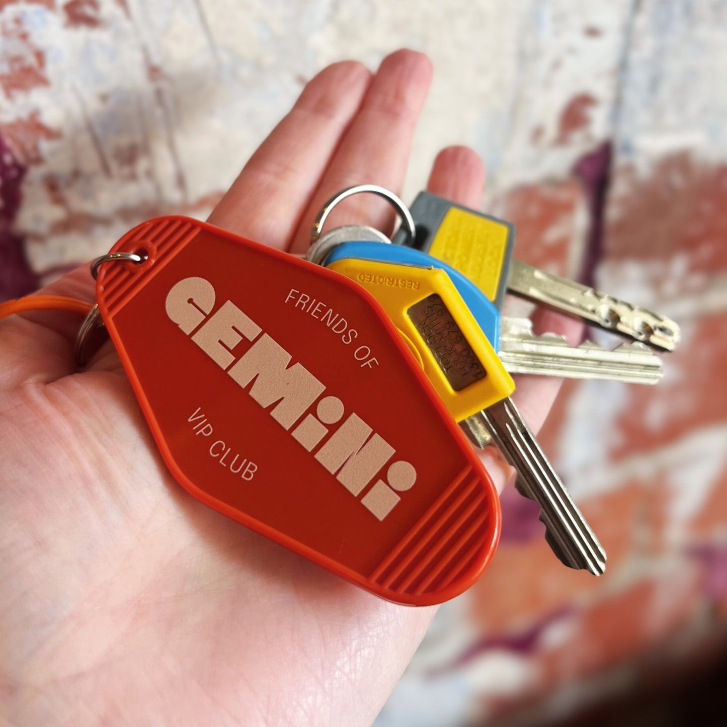 Friends of Gemini - 2026 Membership