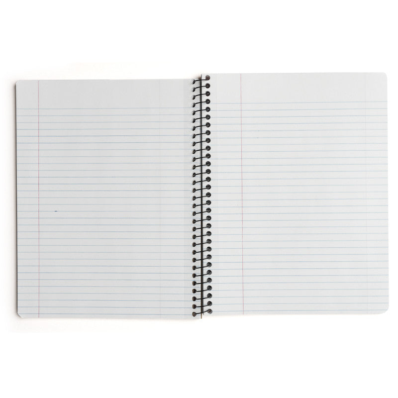 Decomposition Pomegranate Notebook