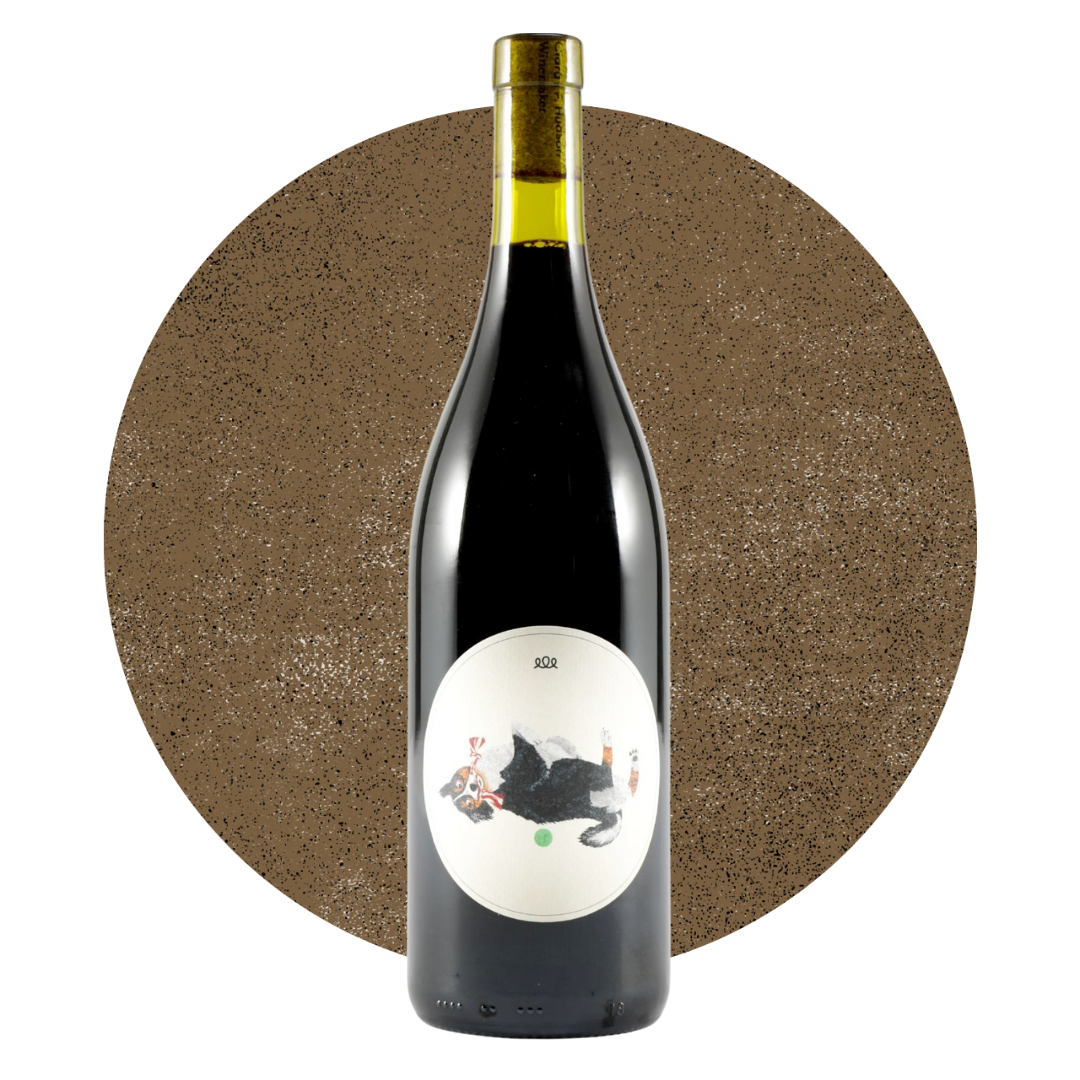 Beyond The Glass Magoo Shiraz