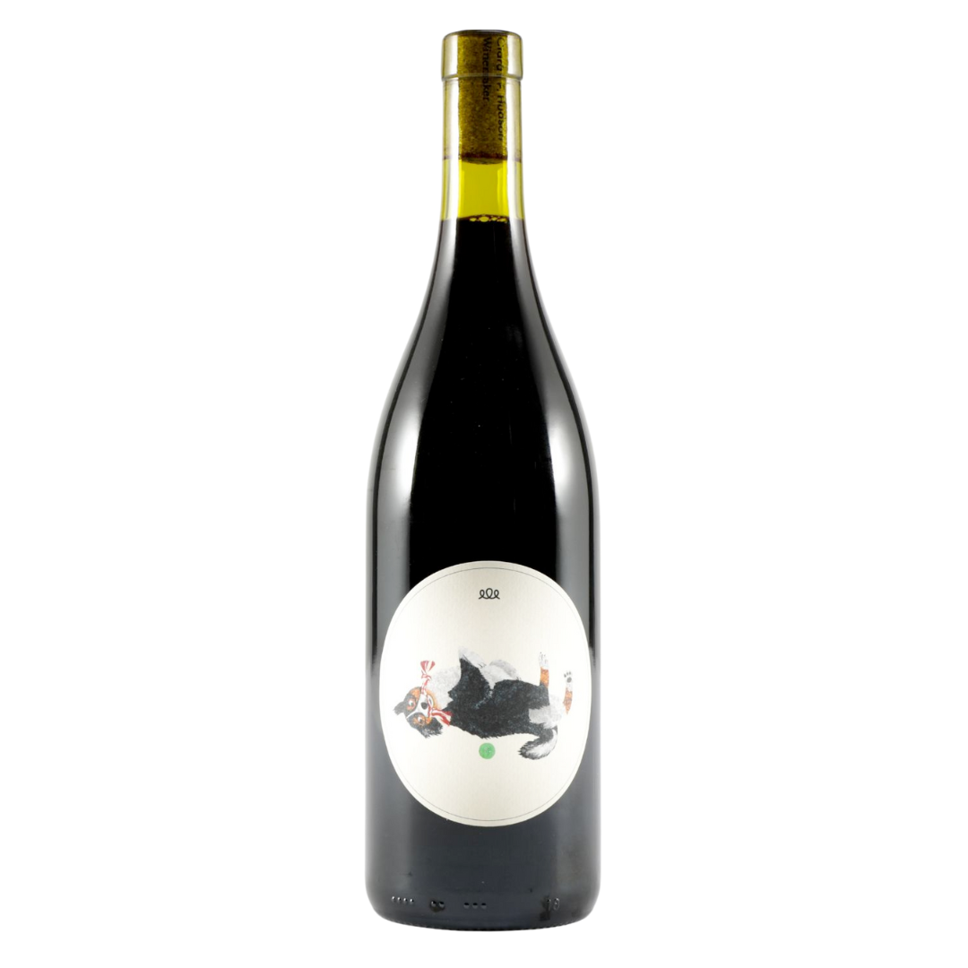 Beyond The Glass Magoo Shiraz