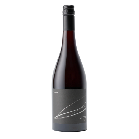 Trapeze Six Js Vineyard G Clone Pinot Noir